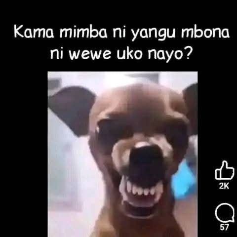 Kama mimba ni yangu mbona ni wewe uko nayo? 1 2k 9