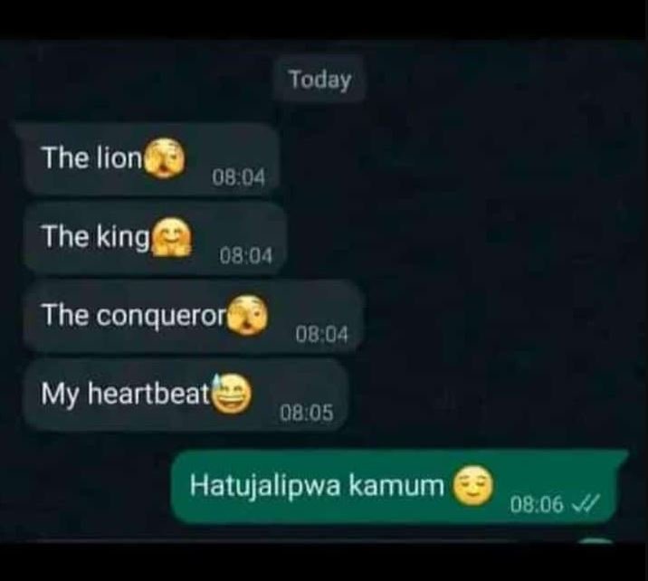 Today the lion 08.04 the king 08'04 the conquerori 08 04 my heartbeat 08,.05 hat