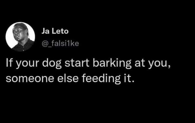 Ja leto _falsilke if your dog start barking at you, someone else feeding it.