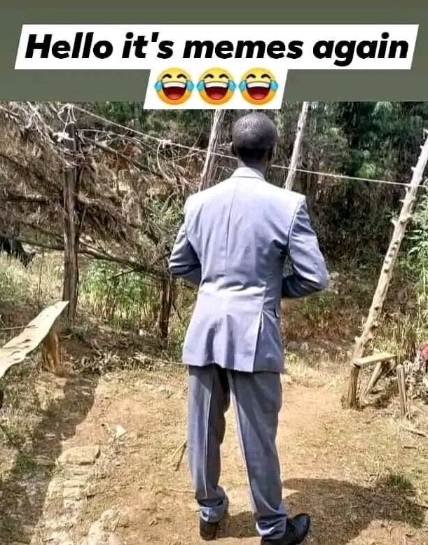 Hello it's memes again