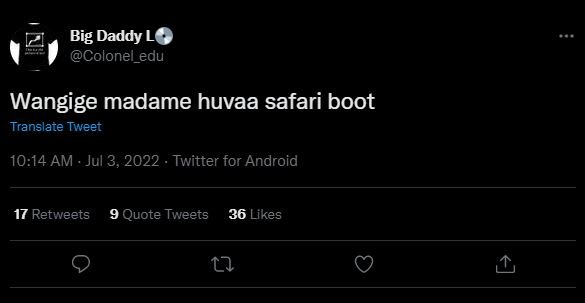 Big daddy l0 colonel_edu wangige madame huvaa safari boot translate tweet 10.14