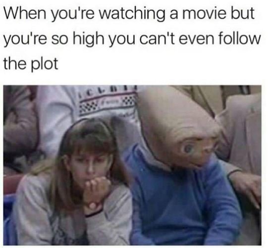 When you're watching a movie but you're so high you can't even follow the plot