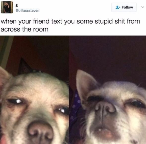 Follow gtnillasssteven when your friend text you some stupid shit from across th