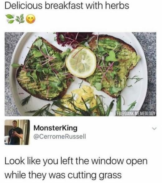 Delicious breakfast with herbs monsterking cerromerussell look like you left the