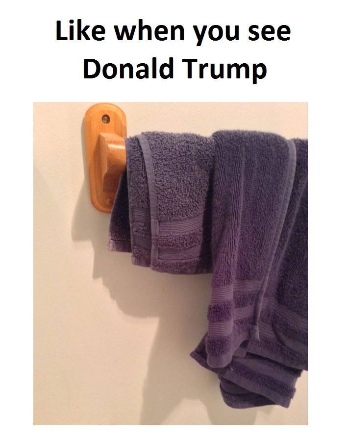 Like when you see donald trump