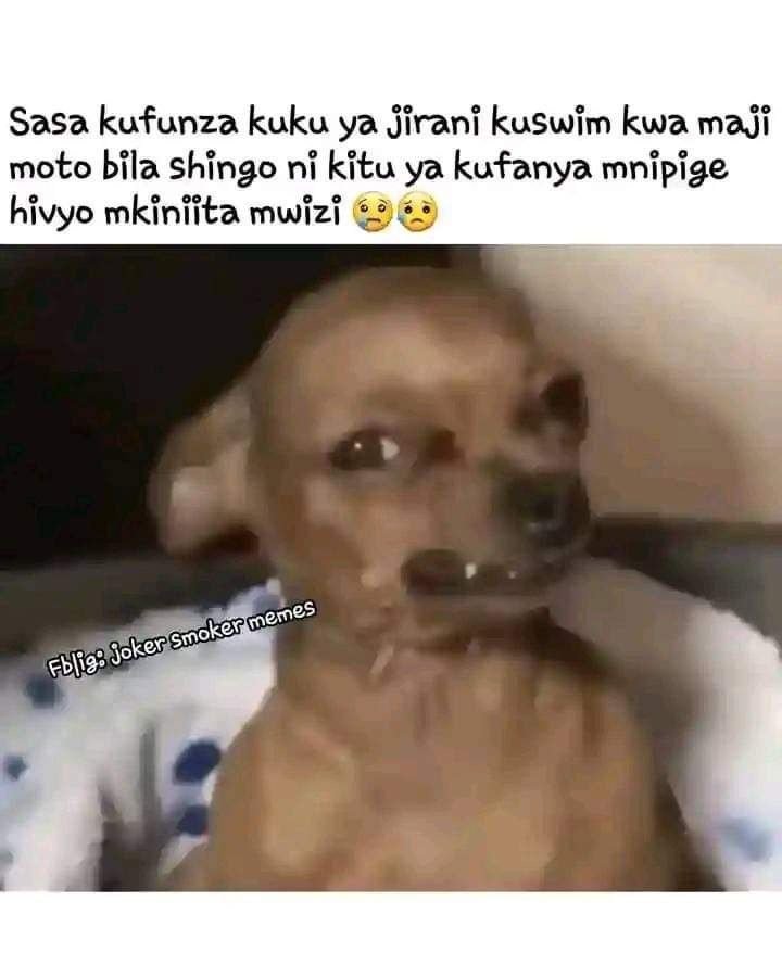 Sasa kufunza kuku ya jirani kuswim kwa maji moto bila shingo ní kitu ya kufanya