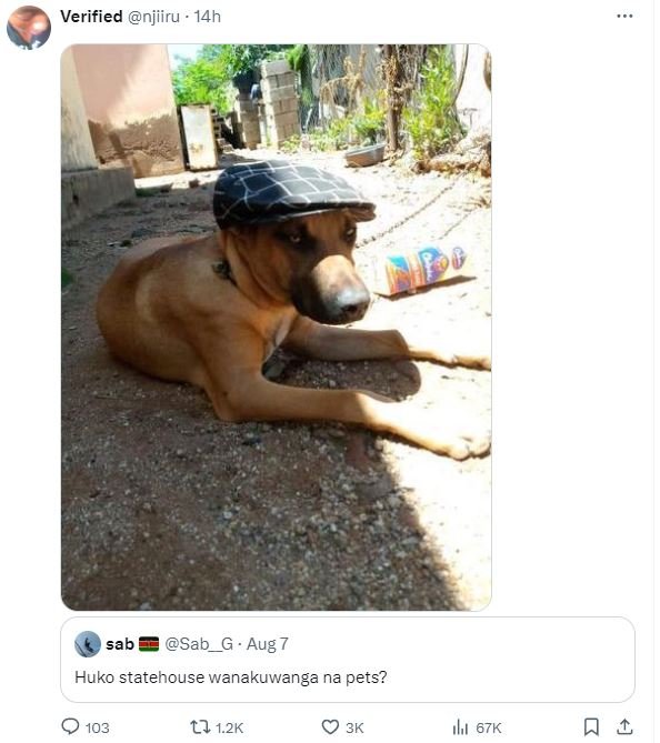 Verified njiiru 14h sab sab aug huko statehouse wanakuwanga na pets? 103 ll 12k