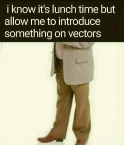 I know its lunch time but allow meto introduce something on vectors