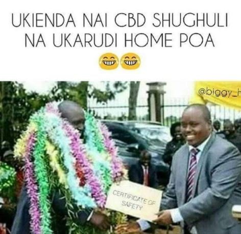 Ukienda nai cbd shughuli na ukarudi home poa oigay ceavifctecf safety