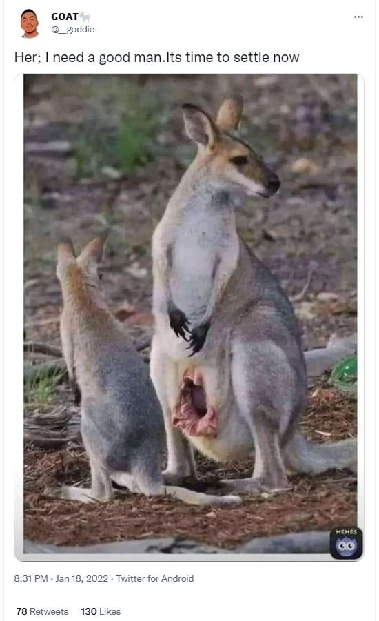 GOAT goddie Her need a good man. Its time to settle now 8.31 PM Jan 18, Twitter