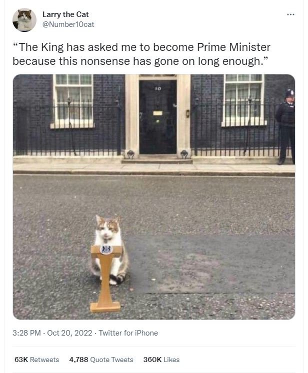 Larry the cat numberlocat the king has asked me to become prime minister because