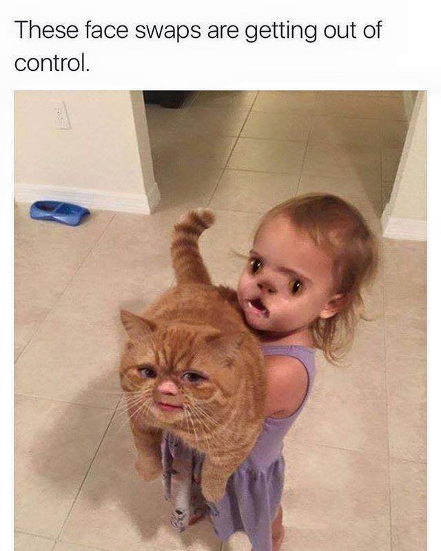 These face swaps are getting out of control.
