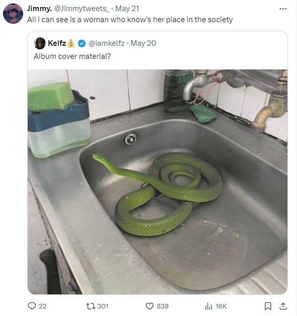 Jimmy. jimmytweets may 21 alli can see is a woman who know's her place in the so