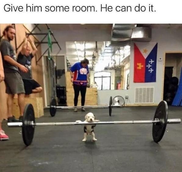 Give him some room he can do it.
