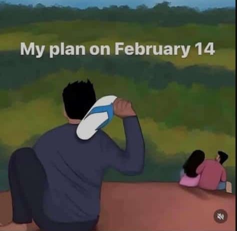 My plan on february 14