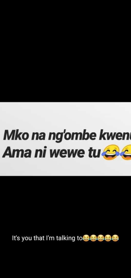 Mko na ngombe kwen ama ni wewe tu its you that lm talking to