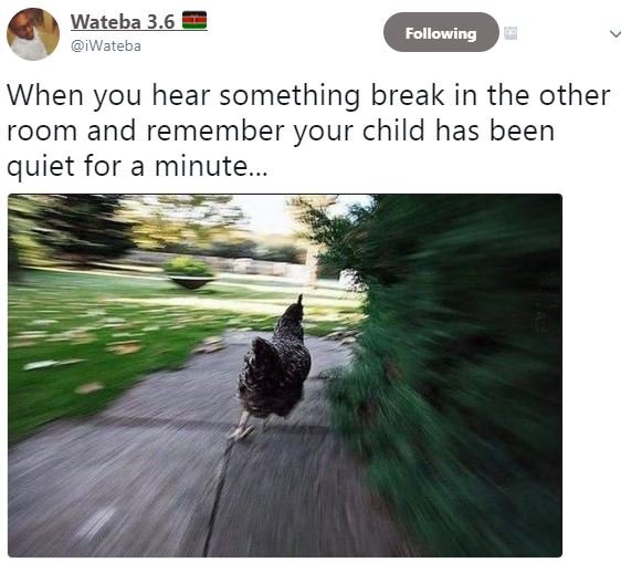 Wateba 3.6 iwateba following when you hear something break in the other room and