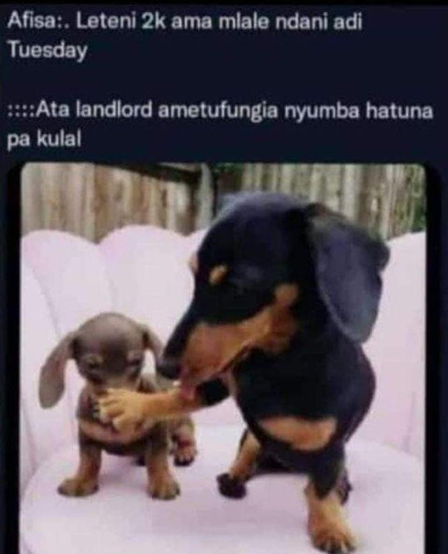 Afisa . leteni 2k ama mlale ndani adi tuesday ata landlord ametufungia nyumba ha