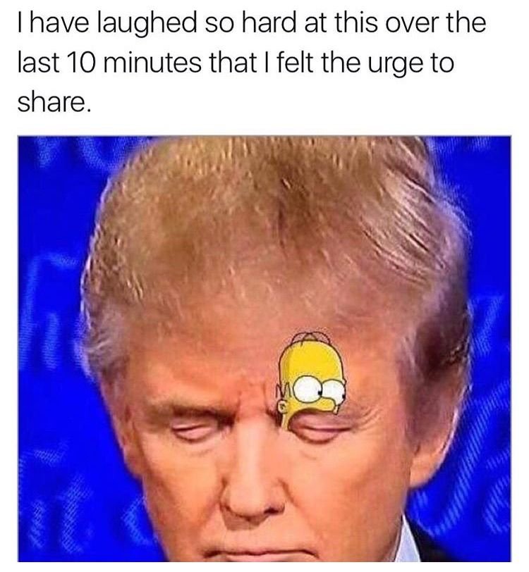 Have laughed so hard at this over the last 10 minutes that felt the urge to shar