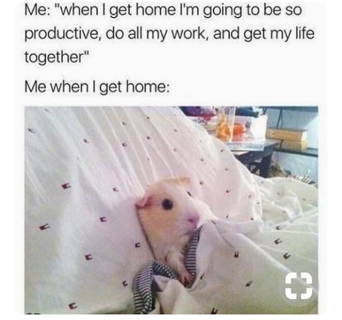 Me when i get home i'm going to be so productive do all my work, and get my life