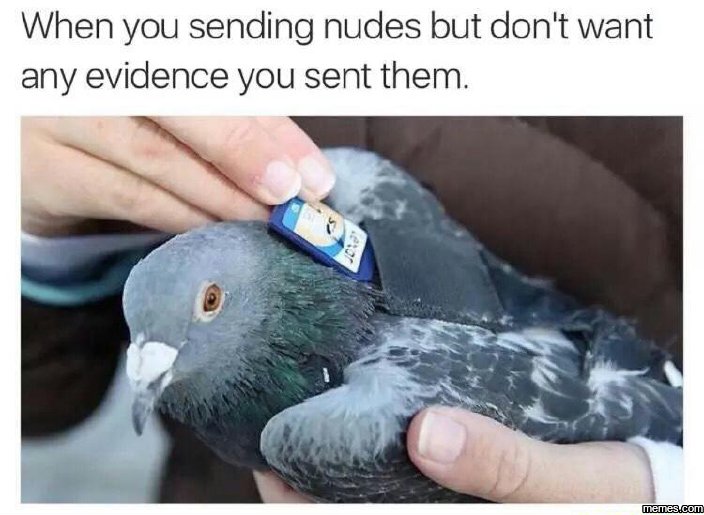 When you sending nudes but don't want any evidence you sent them