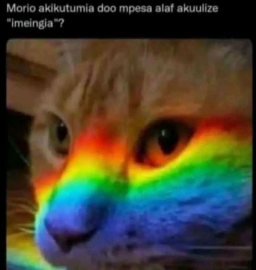 Morio aklkutumia doo mpesa alaf akuullze fimelngla ?