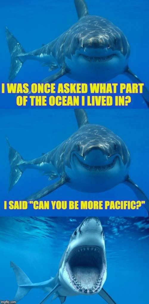 Was once asked what part of the ocean lived in? said can you be more pacific? mo