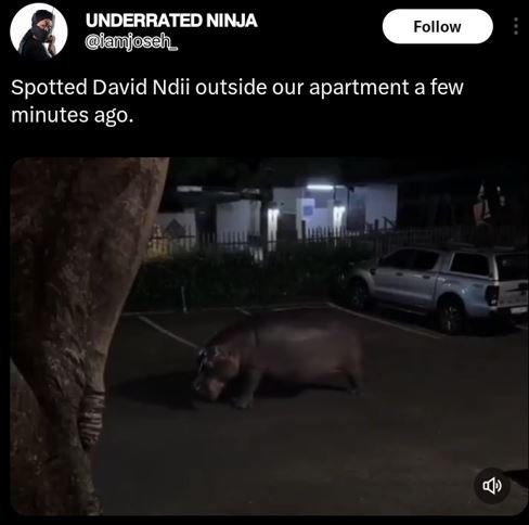 Underrated ninja amjoseh _ follow spotted david ndii outside our apartment a few