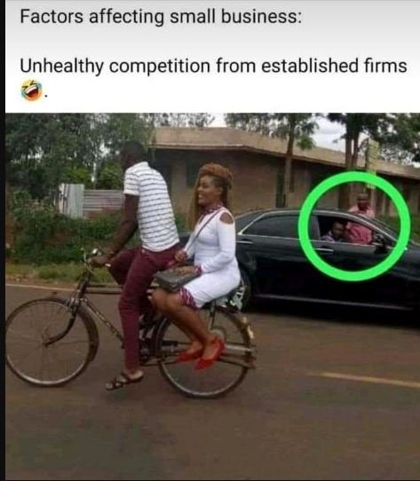 Factors affecting small business Unhealthy competition from established firms