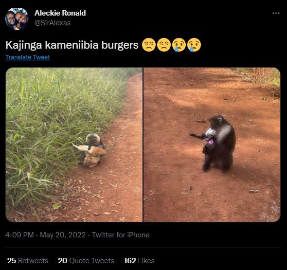 Aleckie ronald siralexas kajinga kameniibia burgers iranslate iweer 4.09 pm . ma