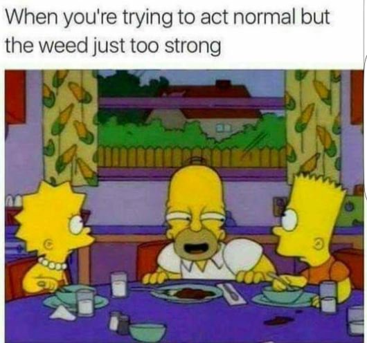 When you're trying to act normal but the weed just too strong
