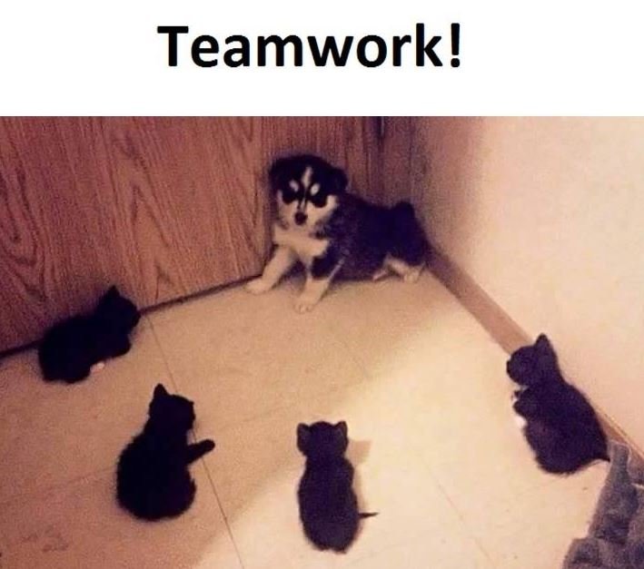 Teamwork!