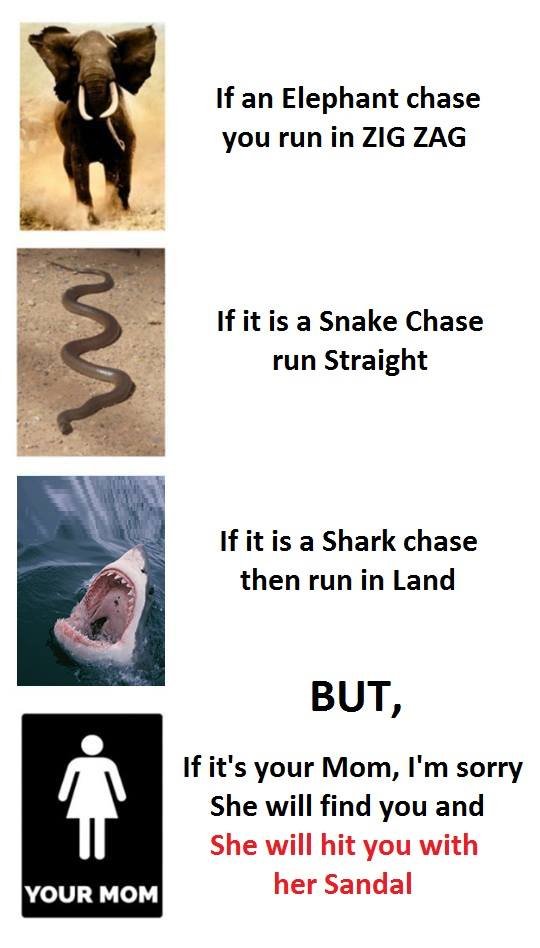 If an elephant chase you run in zig zag if it is a snake chase run straight if i