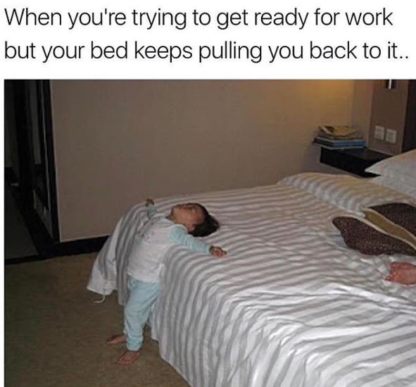 When you're trying to get ready for work but your bed keeps pulling you back to