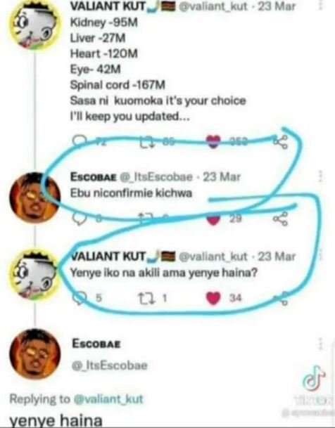 Valiant kut vallant kul 23 mor kidney95m uver27m heart120m eye 42m spinal cord16