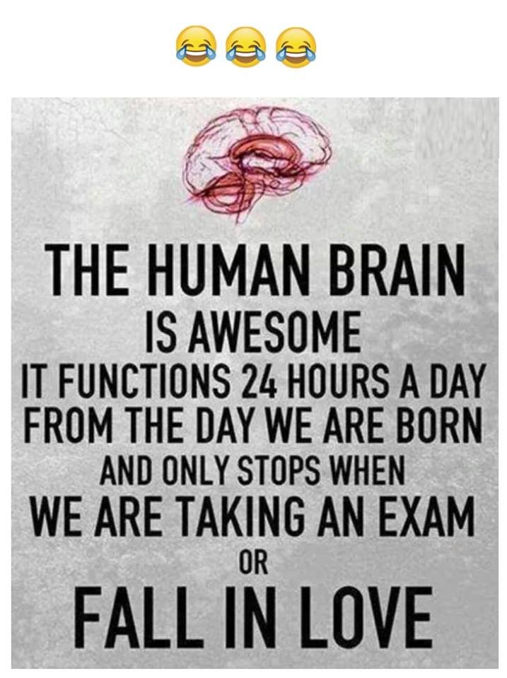 The human brain is awesome it functions 24 hours a day from the day we are born