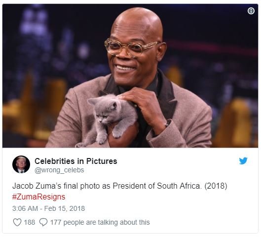 Celebrities in pictures wrong_celebs jacob zuma' s final photo as president of s