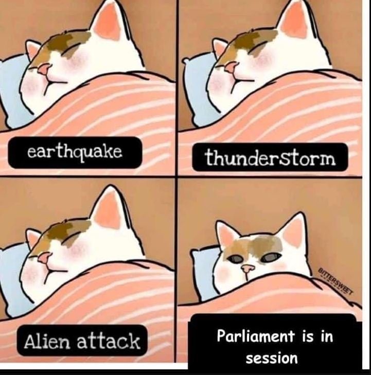 Earthquake thunderstorm alien attack parliament is in session