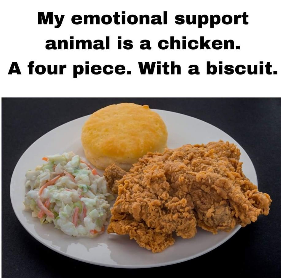 My emotional support animal is a chicken. a four piece. with a biscuit.
