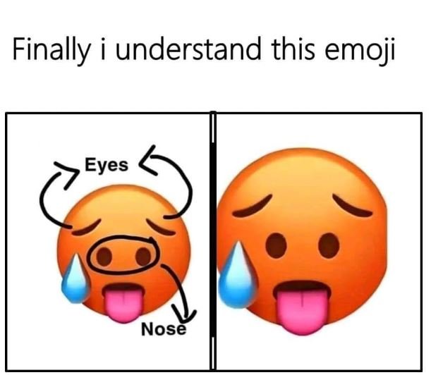 Finally understand this emoji eyes nose