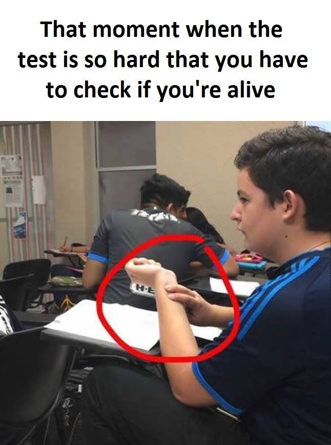 That moment when the test is so hard that you have to check if you're alive