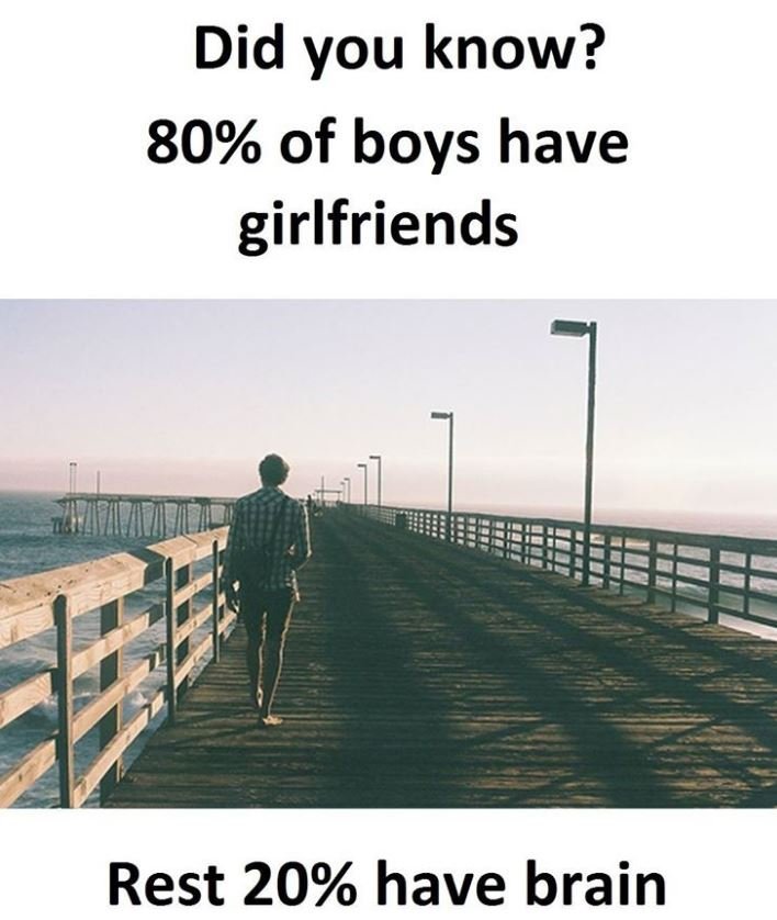 Did you know? 80 of boys have girlfriends rest 20 have brain