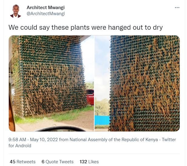 Architect mwangi architectmwangi we could say these plants were hanged out to dr