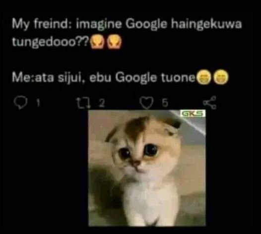 My freind imagine google haingekuwa tungedooo?? meata sijul , ebu google tuoneoo