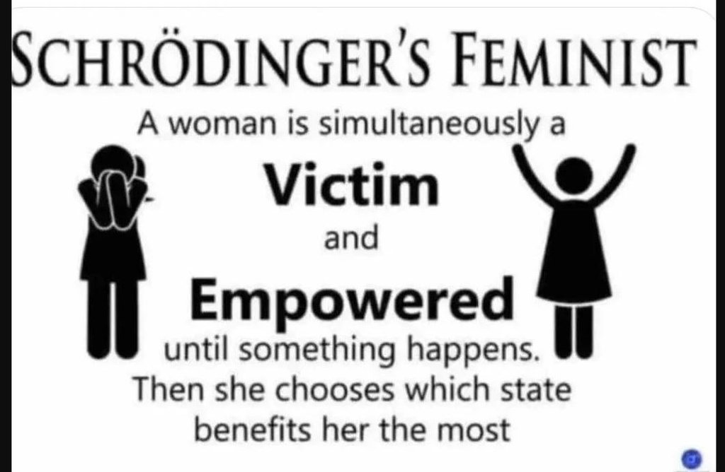 Schrödinger's feminist a woman is simultaneously a victim and empowered until so
