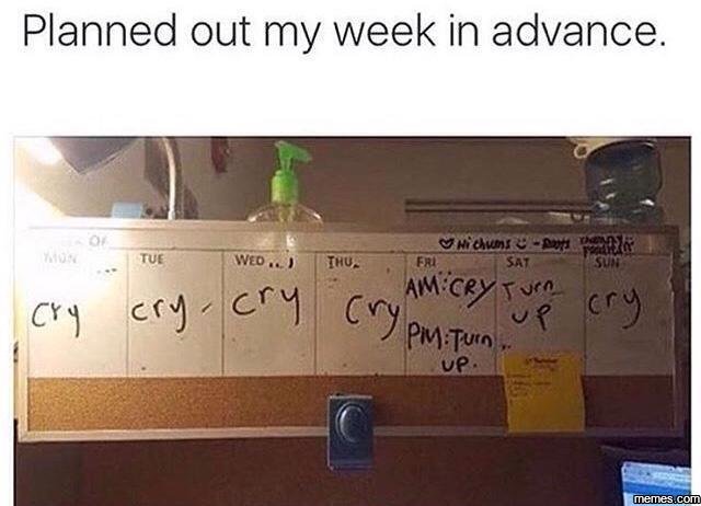 Planned out my week in advance. umiu p yank tue weo inu sai amcry tvro cfj cry c