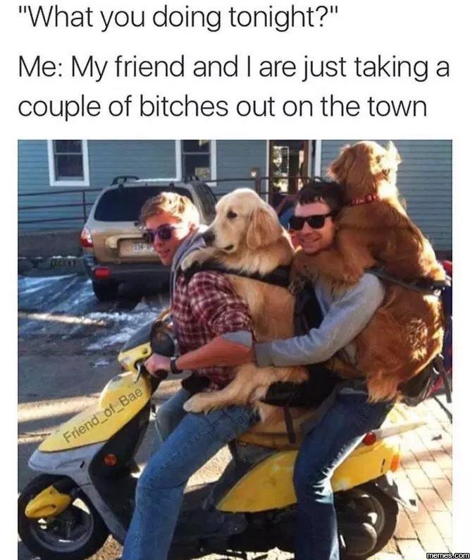 What you doing tonight? me my friend and are just taking a couple of bitches out