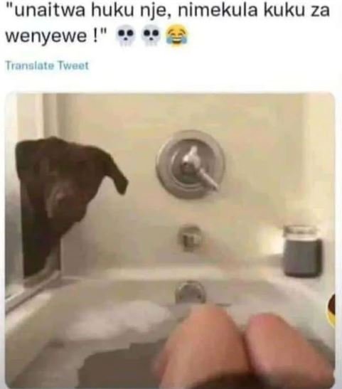 Unaitwa huku nje, nimekula kuku za wenyewe ! tronalole iwool