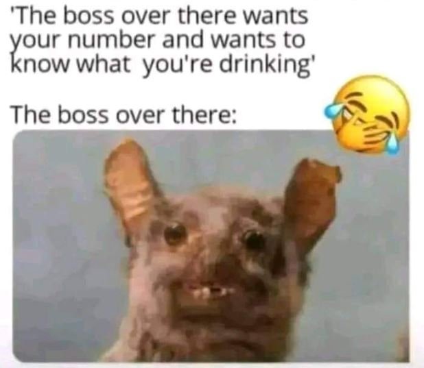 'the boss over there wants number and wants to know what you're drinking' the bo