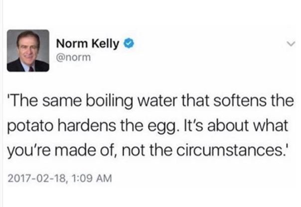 Norm kelly norm 'the same boiling water that softens the potato hardens the egg.